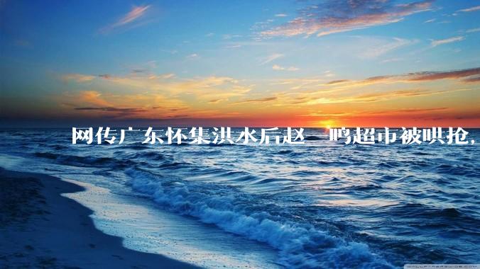 网传广东怀集洪水后赵一鸣超市被哄抢，县***回应相关单位正在核实，若属实哄抢者该承担哪些法律责任？