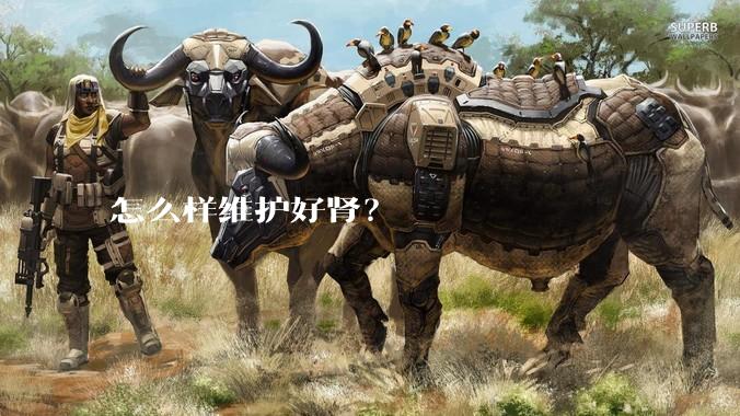 怎么样维护好肾？