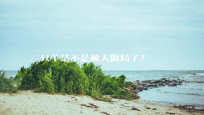 三只羊是不是被人做局了？